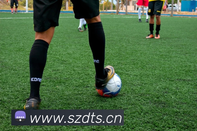 开云app网站登录平台生态图